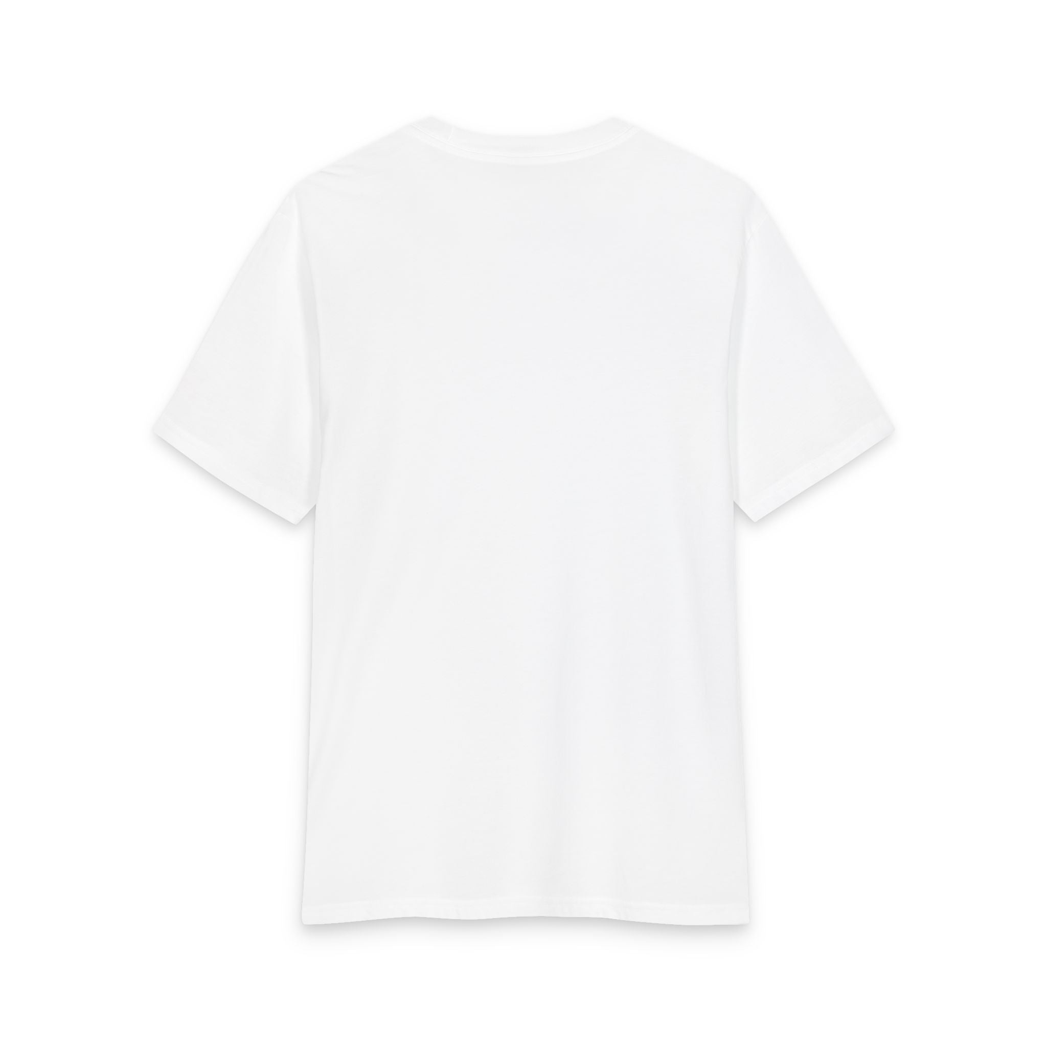 Forge and Thread Co - The Sling of David T-Shirt